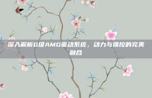 深入解析G级AMG驱动系统，动力与操控的完美融合