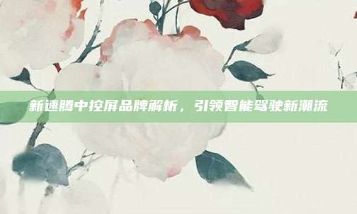 新速腾中控屏品牌解析，引领智能驾驶新潮流