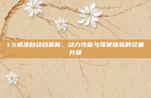1.5威池自动挡解析，动力性能与驾驶体验的双重升级
