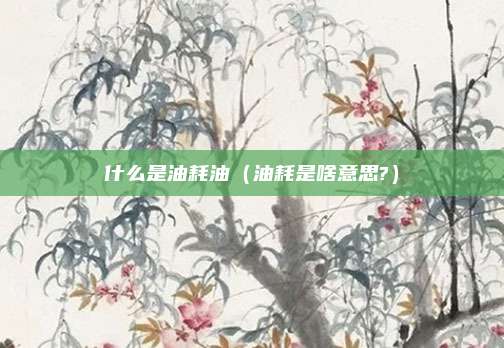 什么是油耗油(油耗是啥意思?)