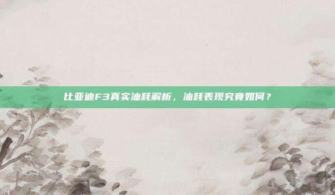 比亚迪F3真实油耗解析，油耗表现究竟如何？