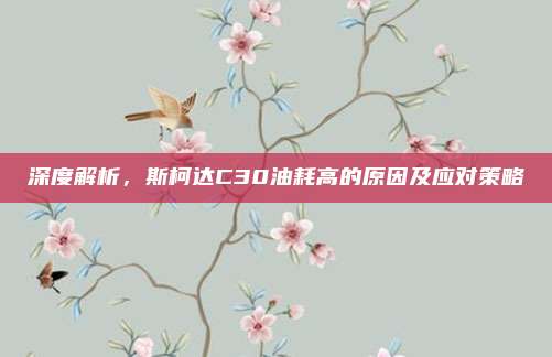 深度解析，斯柯达C30油耗高的原因及应对策略
