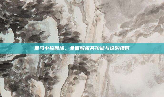 宝马中控保险，全面解析其功能与选购指南