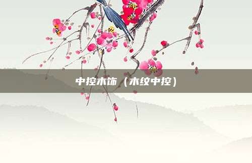 中控木饰（木纹中控）