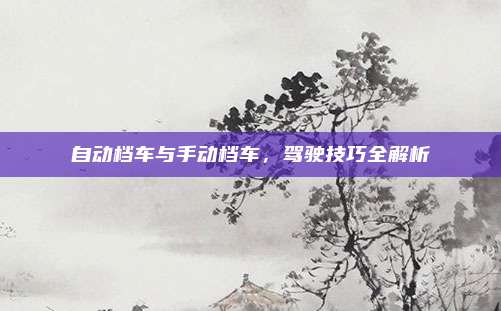 自动档车与手动档车，驾驶技巧全解析