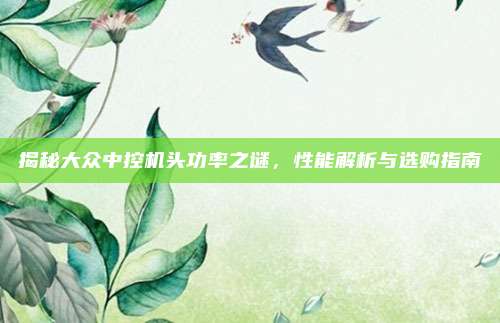揭秘大众中控机头功率之谜,性能解析与选购指南