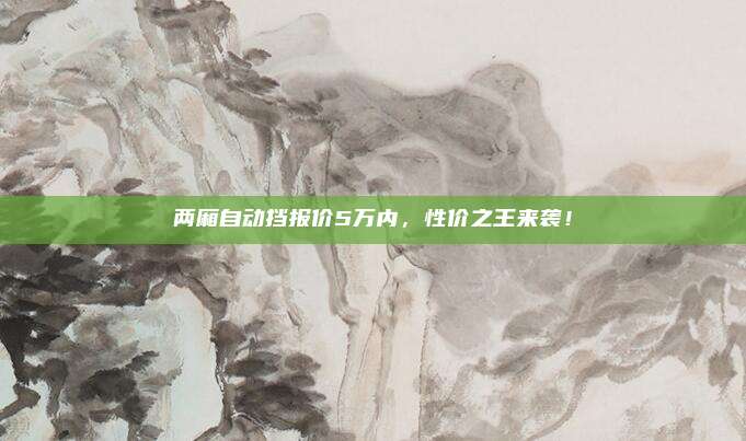 两厢自动挡报价5万内，性价之王来袭！