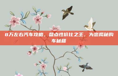 8万左右汽车攻略,盘点性价比之王,为您揭秘购车秘籍
