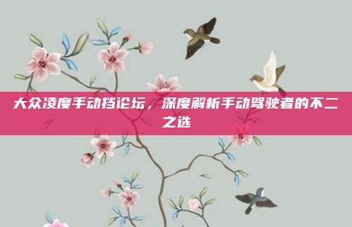大众凌度手动挡论坛，深度解析手动驾驶者的不二之选