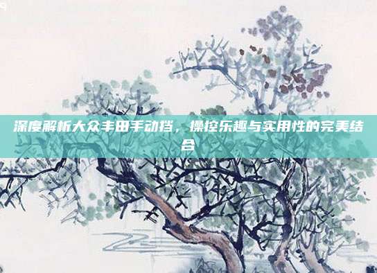 深度解析大众丰田手动挡，操控乐趣与实用性的完美结合