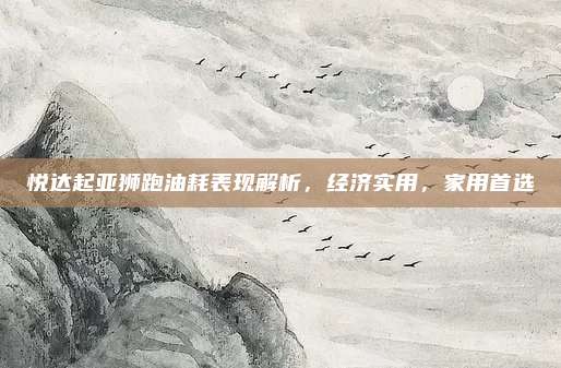 悦达起亚狮跑油耗表现解析，经济实用，家用首选
