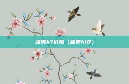 啥佛h7价格(啥佛h10)