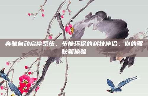 奔驰自动启停系统，节能环保的科技伴侣，你的驾驶新体验