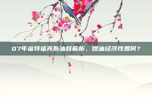 07年福特福克斯油耗解析，燃油经济性如何？