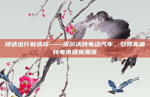 绿色出行新选择——沃尔沃纯电动汽车，引领高端纯电市场新潮流