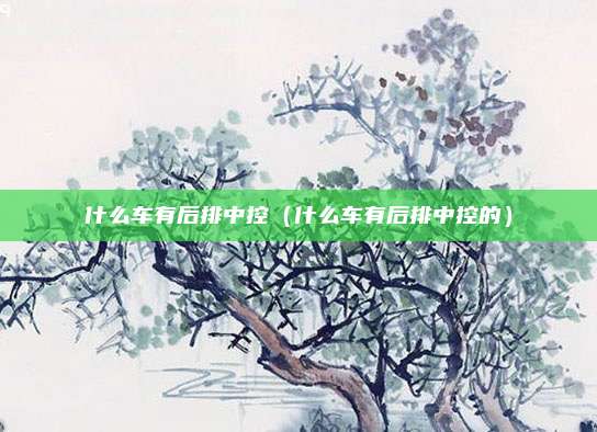 什么车有后排中控(什么车有后排中控的)