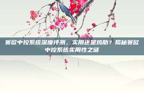 赛欧中控系统深度评测，实用还是鸡肋？揭秘赛欧中控系统实用性之谜