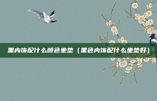 黑内饰配什么颜色坐垫(黑色内饰配什么坐垫好)