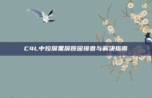 C4L中控屏黑屏原因排查与解决指南