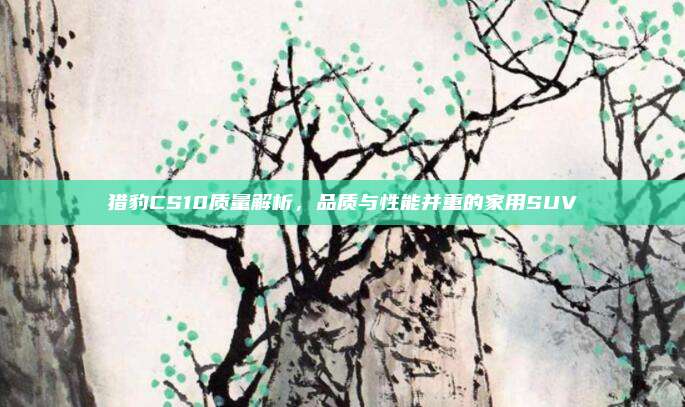 猎豹CS10质量解析，品质与性能并重的家用SUV