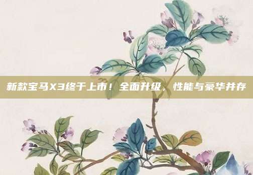 新款宝马X3终于上市！全面升级，性能与豪华并存
