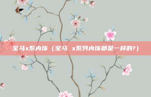 宝马x系内饰(宝马 x系列内饰都是一样的?)