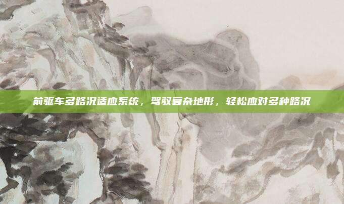 前驱车多路况适应系统，驾驭复杂地形，轻松应对多种路况