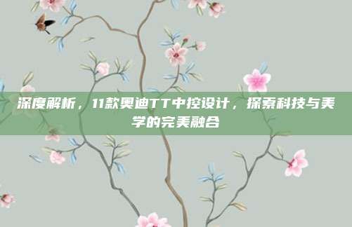 深度解析，11款奥迪TT中控设计，探索科技与美学的完美融合