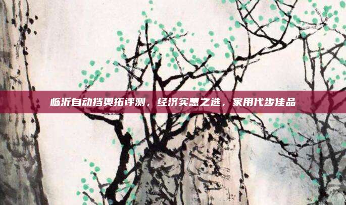 临沂自动挡奥拓评测，经济实惠之选，家用代步佳品