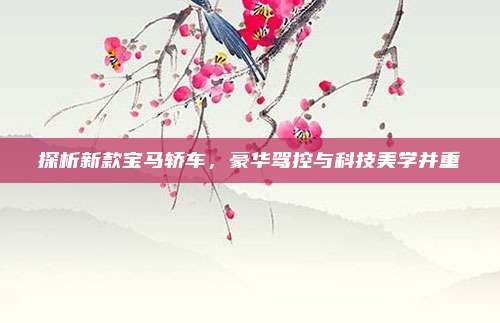 探析新款宝马轿车，豪华驾控与科技美学并重