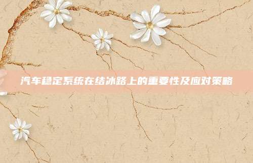 汽车稳定系统在结冰路上的重要性及应对策略