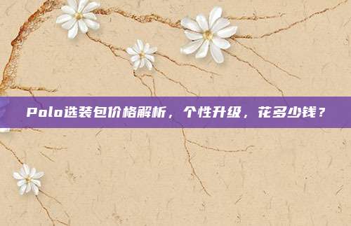 Polo选装包价格解析，个性升级，花多少钱？