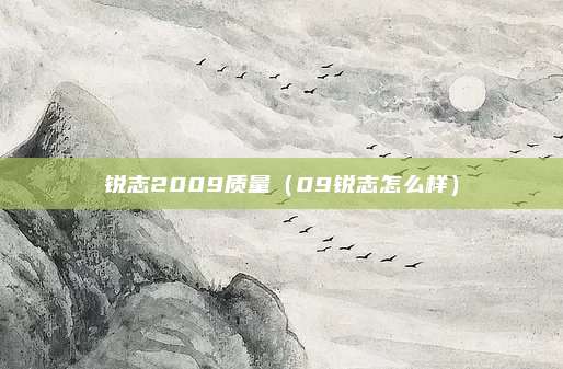 锐志2009质量（09锐志怎么样）