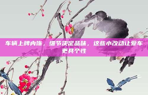 车辆上牌内饰，细节决定品味，这些小改动让爱车更具个性