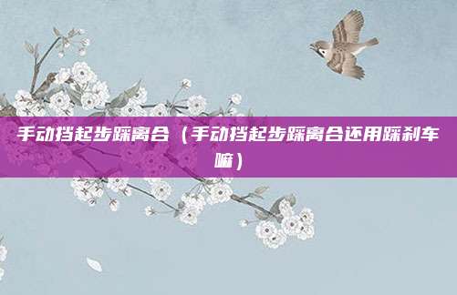 手动挡起步踩离合（手动挡起步踩离合还用踩刹车嘛）