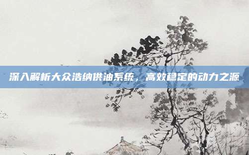 深入解析大众浩纳供油系统，高效稳定的动力之源
