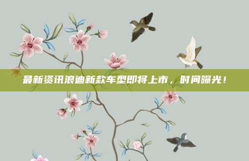 最新资讯浪迪新款车型即将上市，时间曝光！