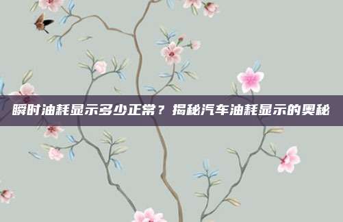 瞬时油耗显示多少正常？揭秘汽车油耗显示的奥秘
