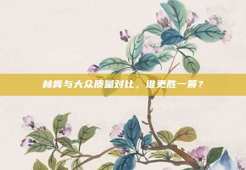 林肯与大众质量对比，谁更胜一筹？