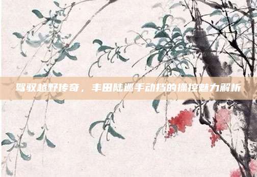 驾驭越野传奇，丰田陆巡手动挡的操控魅力解析