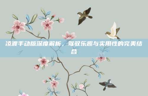凌渡手动版深度解析，驾驭乐趣与实用性的完美结合