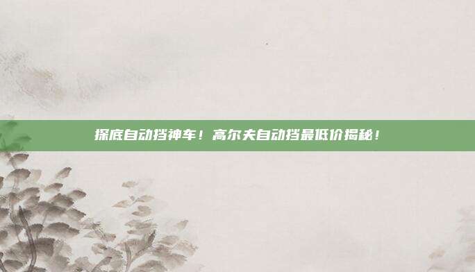 探底自动挡神车！高尔夫自动挡最低价揭秘！