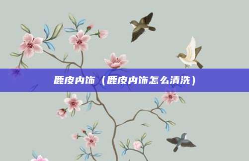 鹿皮内饰（鹿皮内饰怎么清洗）