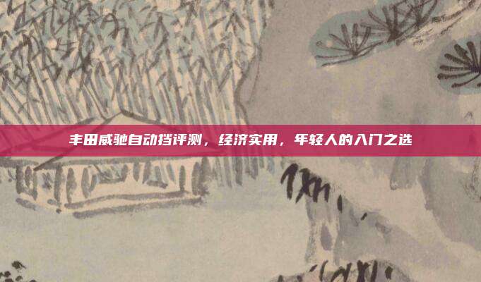 丰田威驰自动挡评测，经济实用，年轻人的入门之选