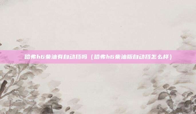 哈弗h6柴油有自动挡吗（哈弗h6柴油版自动挡怎么样）