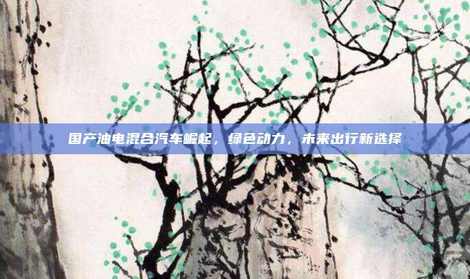 国产油电混合汽车崛起，绿色动力，未来出行新选择