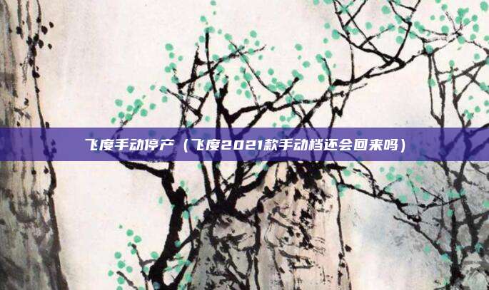 飞度手动停产（飞度2021款手动档还会回来吗）
