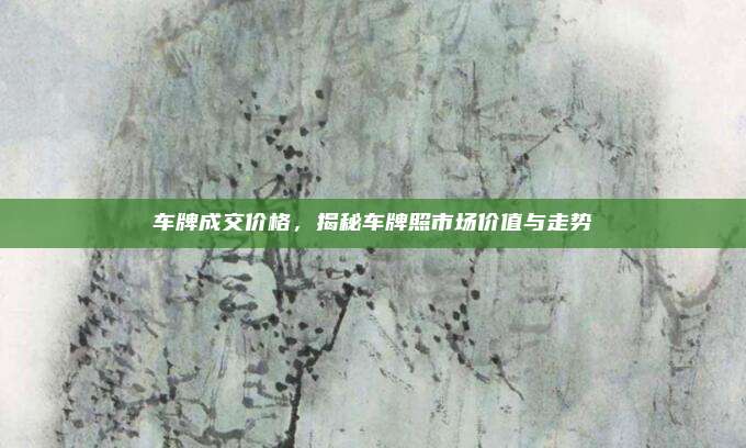 车牌成交价格，揭秘车牌照市场价值与走势