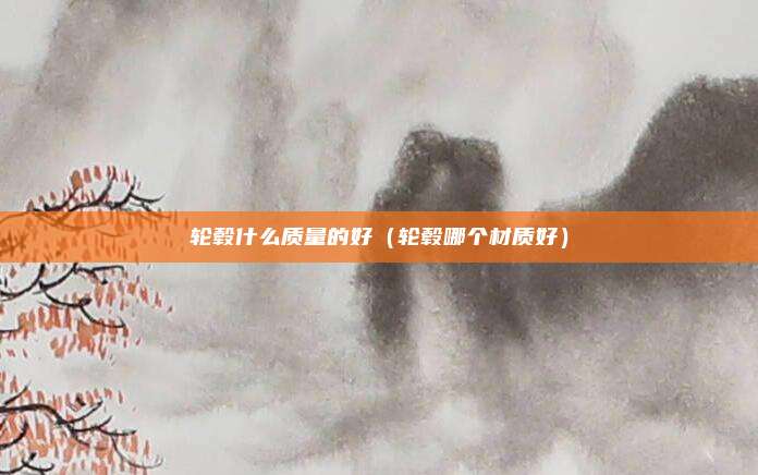 轮毂什么质量的好（轮毂哪个材质好）