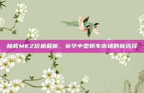 林肯MKZ价格解析，豪华中型轿车市场的新选择